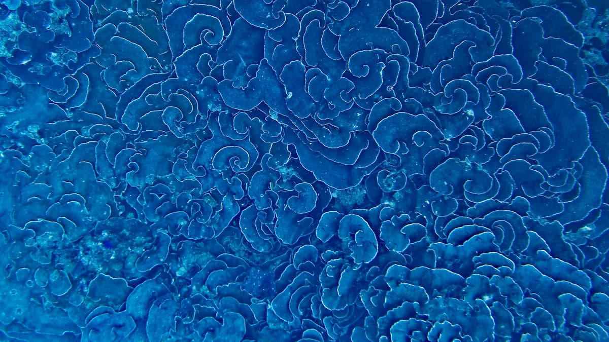 Engineering Manager Operating Model at Series A Companies: Execution Clarity for Stage-Aware Scale